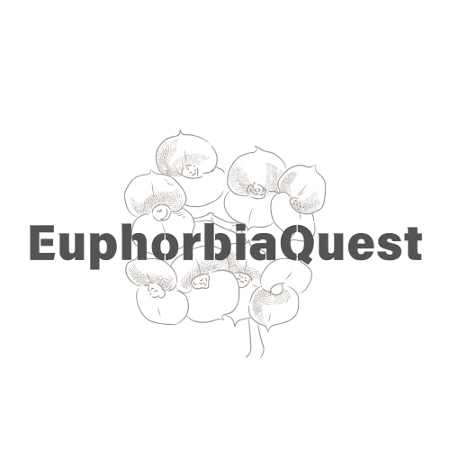 EuphorbiaQuest